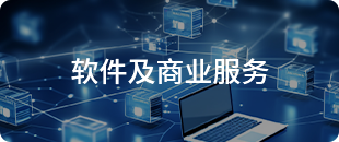 軟件及商業服務