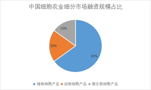 細分市場融資規模占比