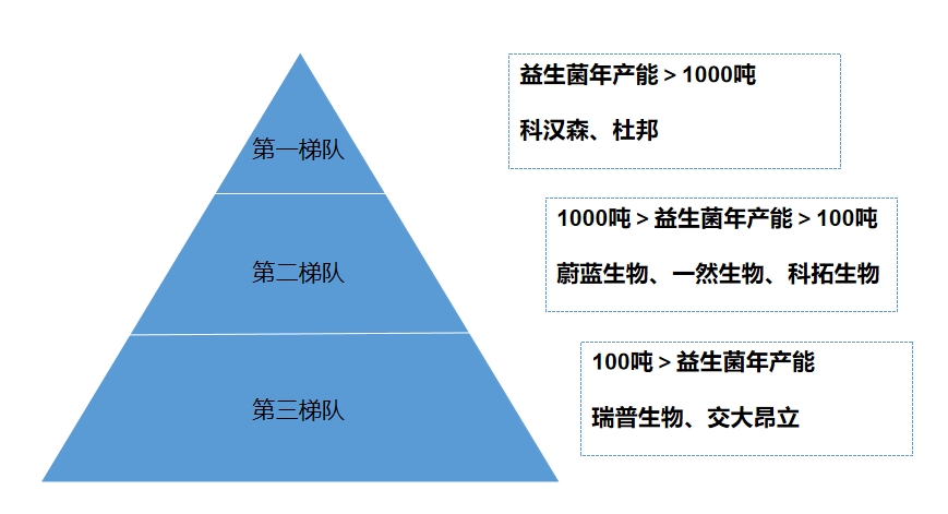 市場梯隊