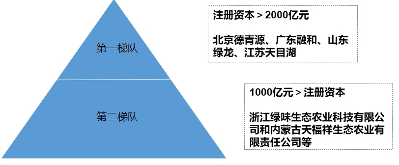 市場梯隊