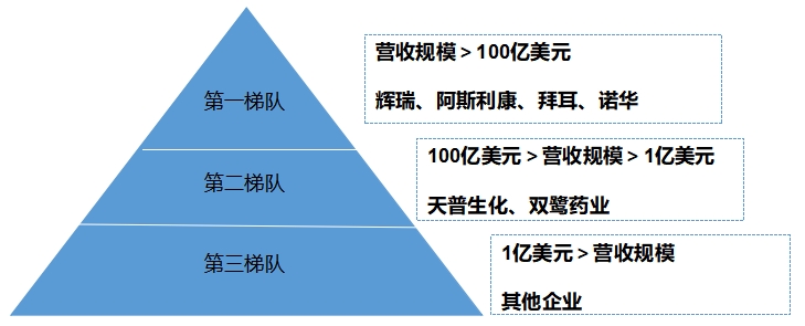 中國心血管系統藥物行業競爭格局及重點企業經營情況調研