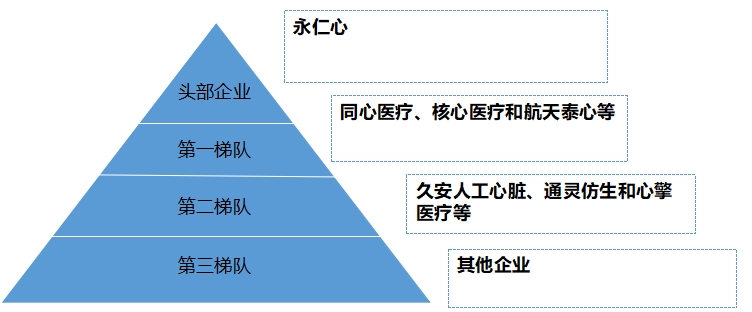 中國心室輔助裝置行業競爭格局及重點企業經營情況調研