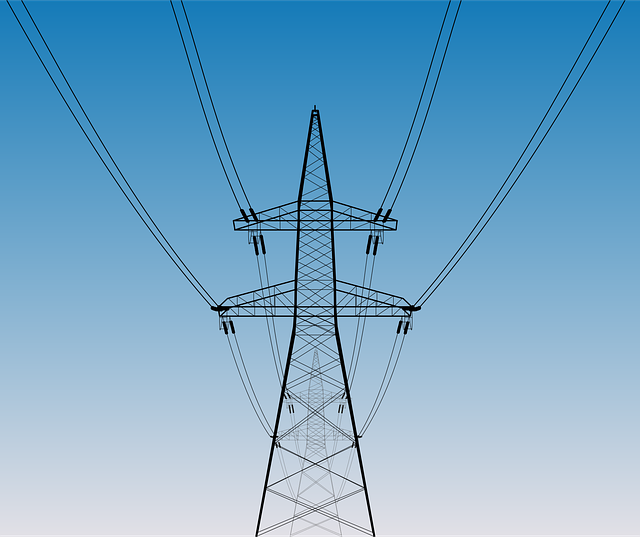 2021年中國綠電交易市場調查研究與發展前景預測報告