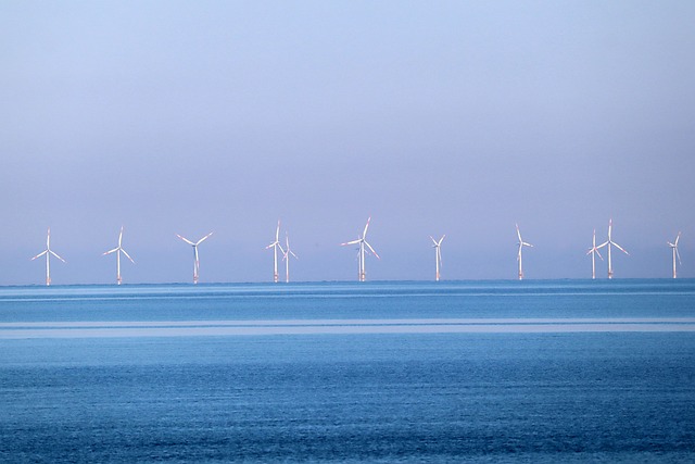 中國海上風電行業重點企業及前景分析